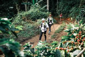 BIB: 
                            <button type="button" onclick="openModal(25856423)" class="btn btn-primary btn-sm float-right btn-popup" data-toggle="modal" data-target=".modal-high-quality">
                        <i class="fas fa-shopping-cart"></i> Add to Cart
                    </button>
                                            <button type="button" onclick="isThisMe(25856423, true)" class="btn btn-success btn-sm float-right btn-popup btn-isme hidden" data-toggle="tooltip" data-placement="bottom" title="นี่คือรูปของคุณใช่ไหม คลิกที่นี่เพื่อเอาเข้าอัลบั้ม">
                        <i class="fas fa-plus"></i> Add to album
                    </button>
                    <button type="button" onclick="isThisMe(25856423, false)" class="btn btn-warning btn-sm float-right btn-popup btn-isnotme hidden">
                        <i class="fas fa-ban"></i> Remove from album
                    </button>